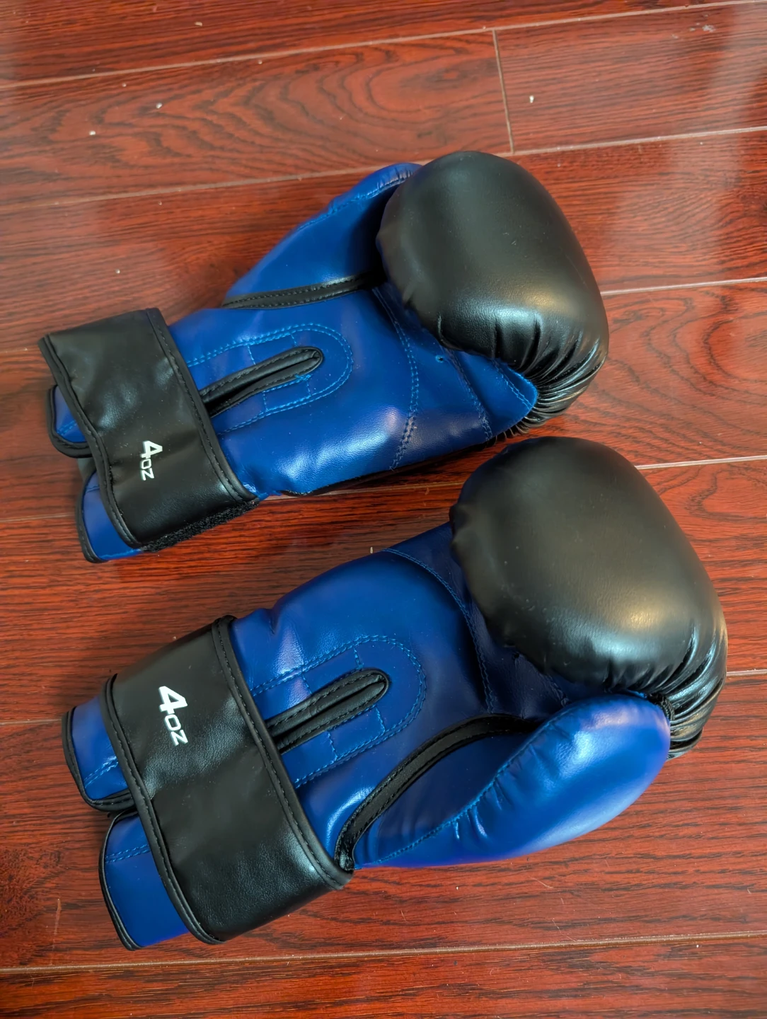 DAN DO 4oz Boxing Gloves - Blue/Black