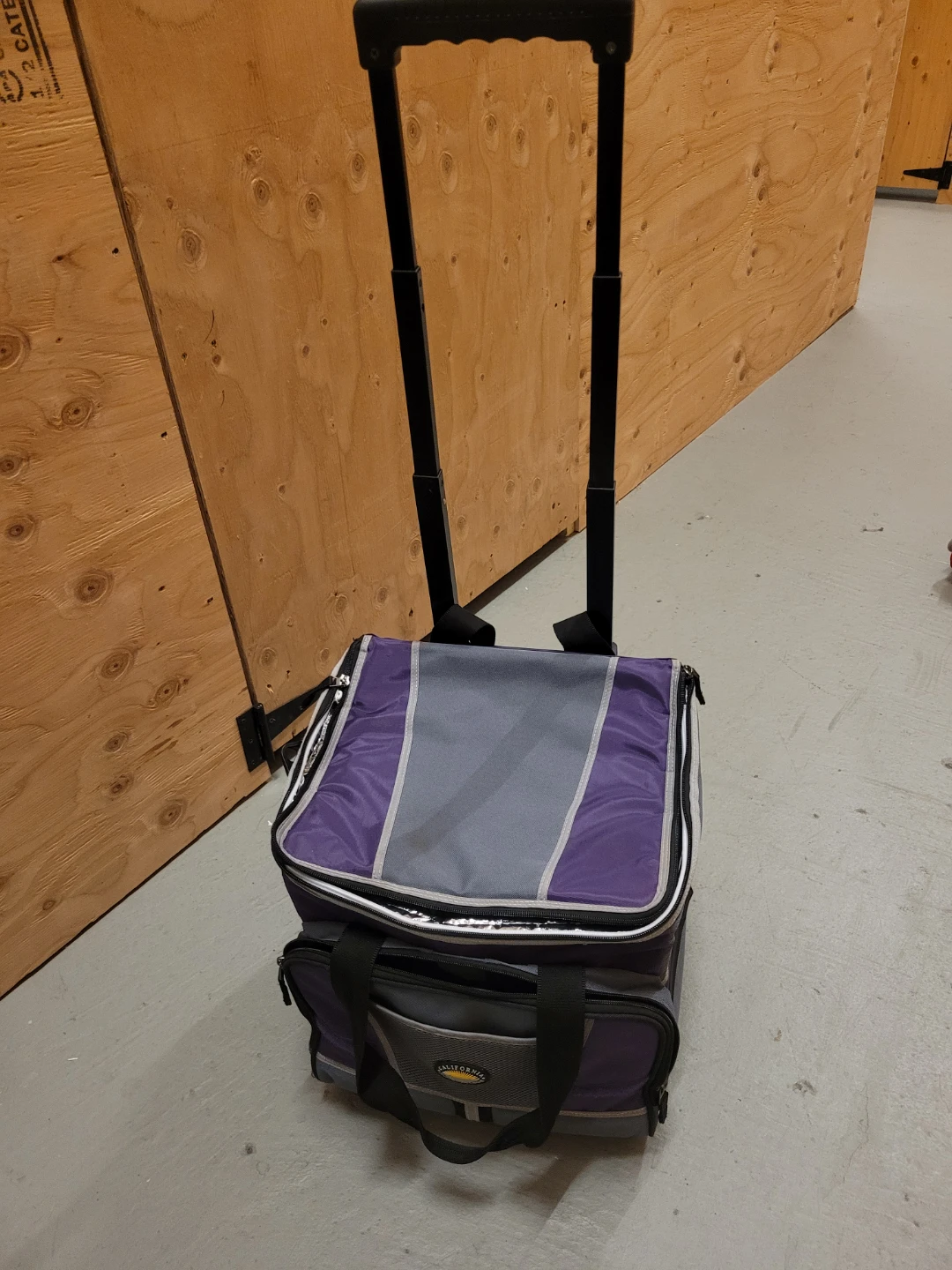 California Innovations Rolling Cooler Bag