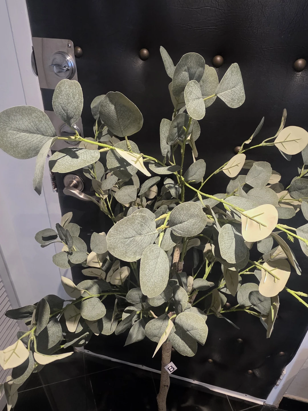 Artificial Eucalyptus Plant - photo 2