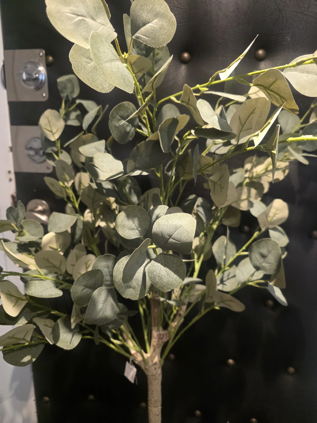Artificial Eucalyptus Plant - photo 4