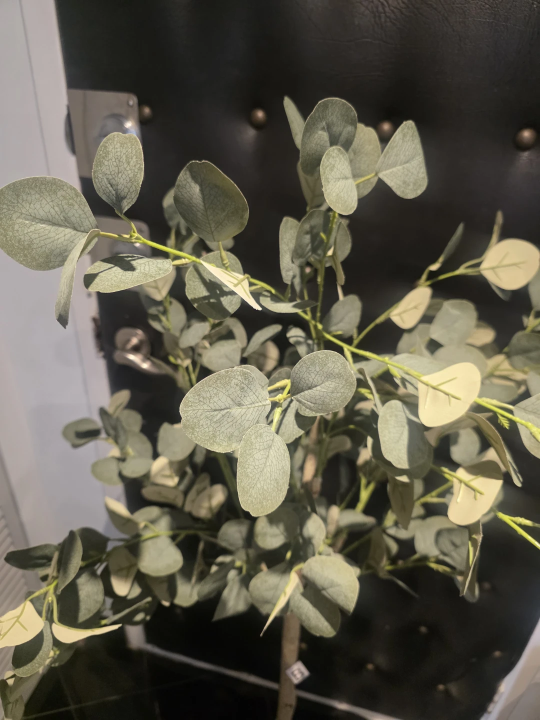 Artificial Eucalyptus Plant - photo 5