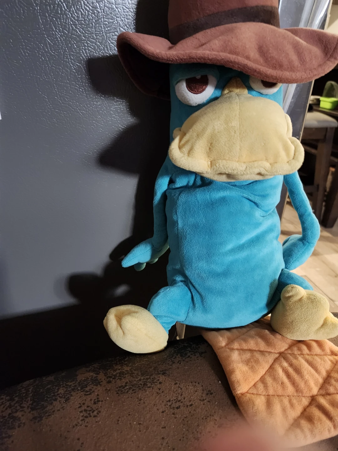$10 perry plush 16"