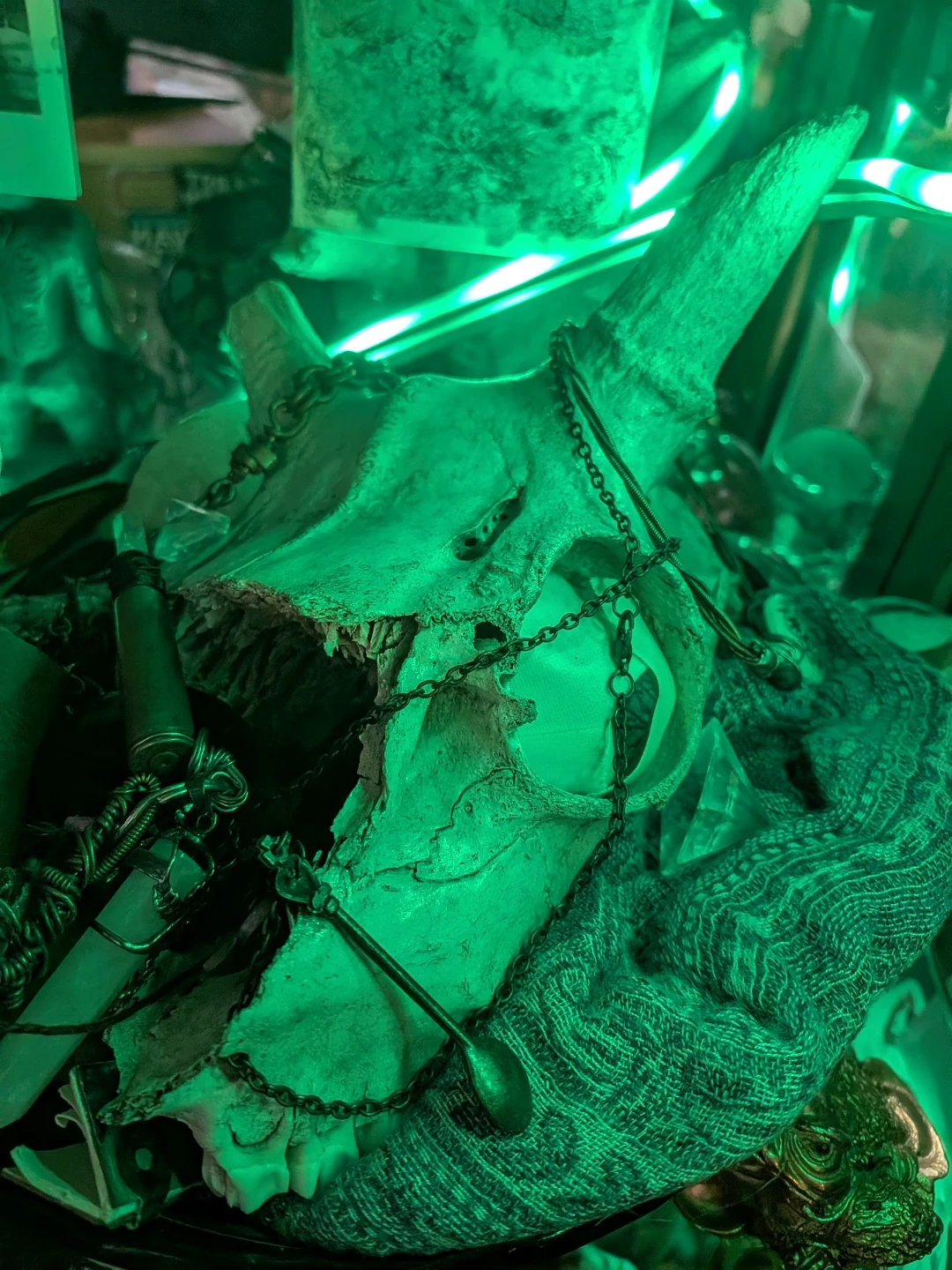 Deer Antler Skull Decor , tools , fall protection - photo 5