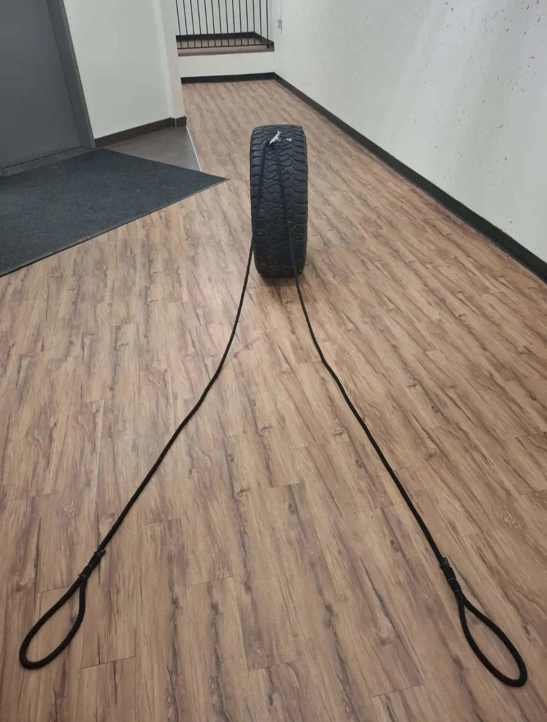 Tire Sled Training Tool - photo 4