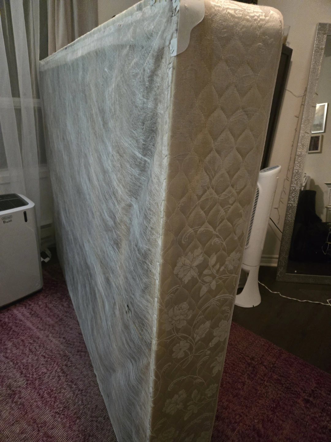 Queen Boxspring