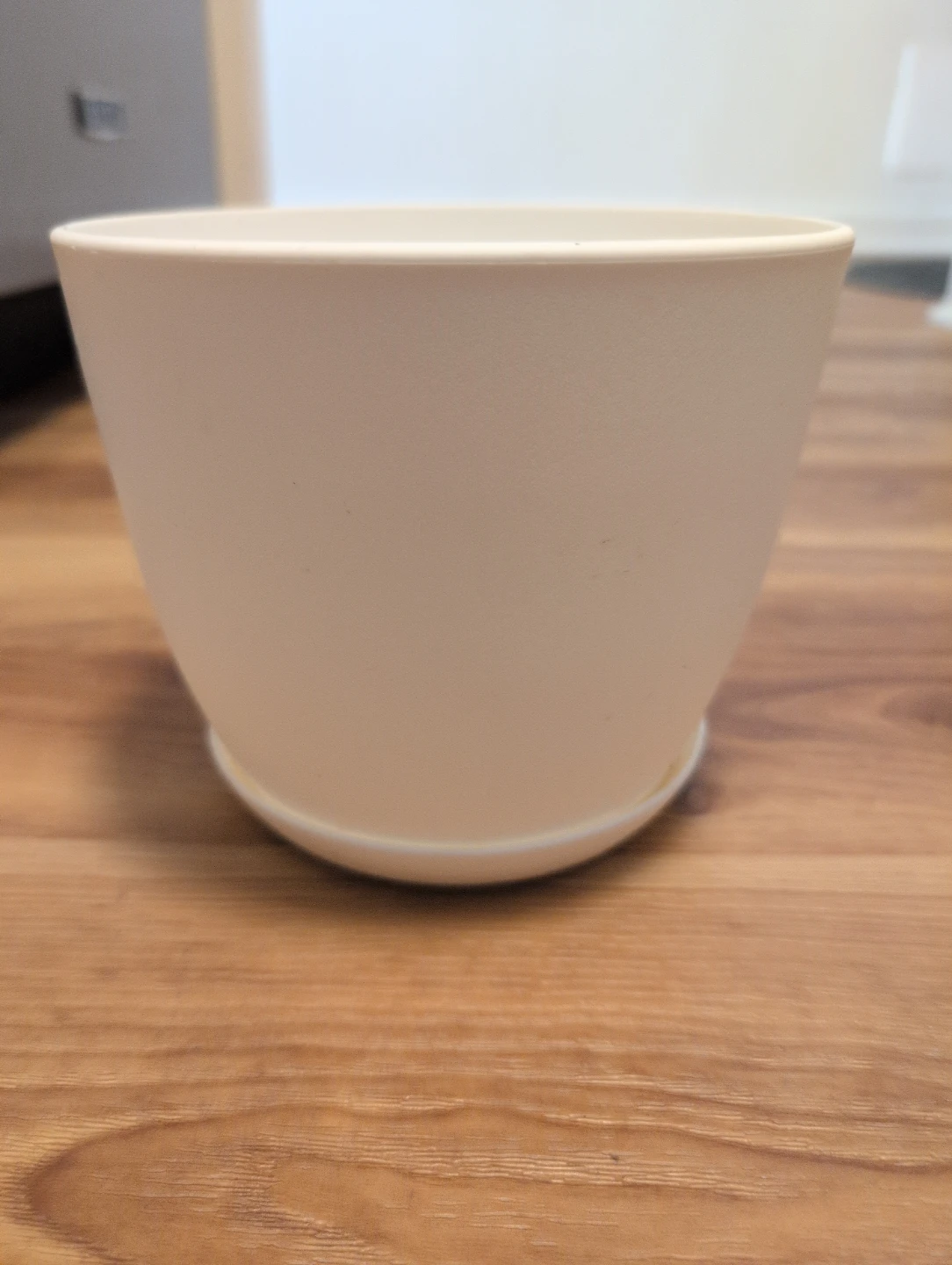 Cream Colored Plant Pot with Saucer