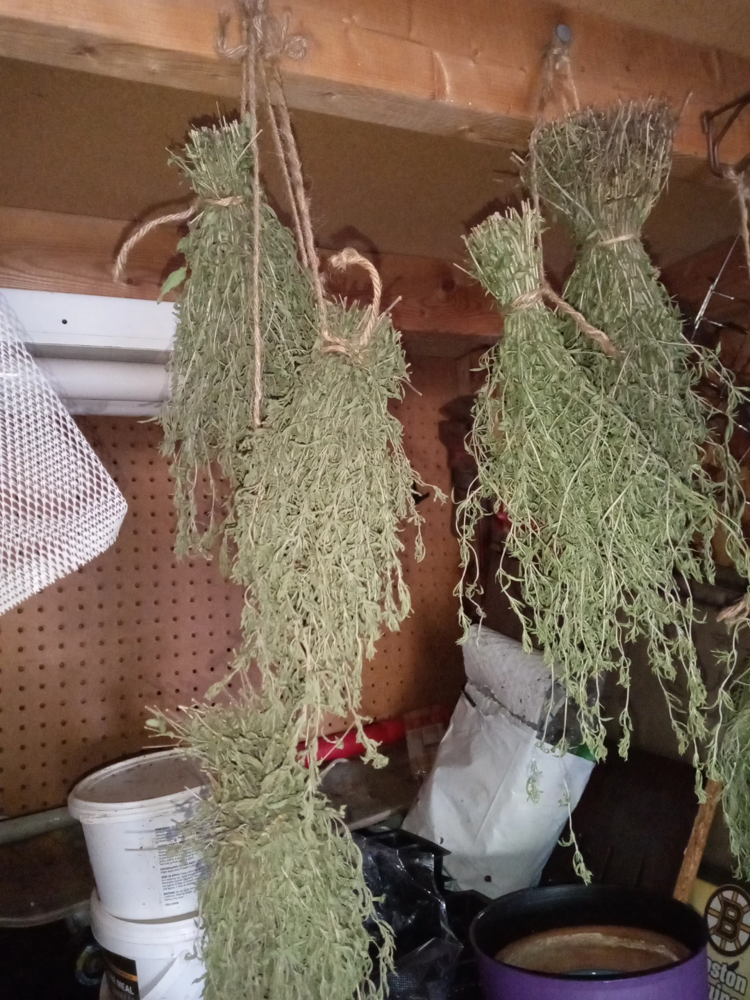 Comfrey bundles, dried lavender, dried savory - photo 2
