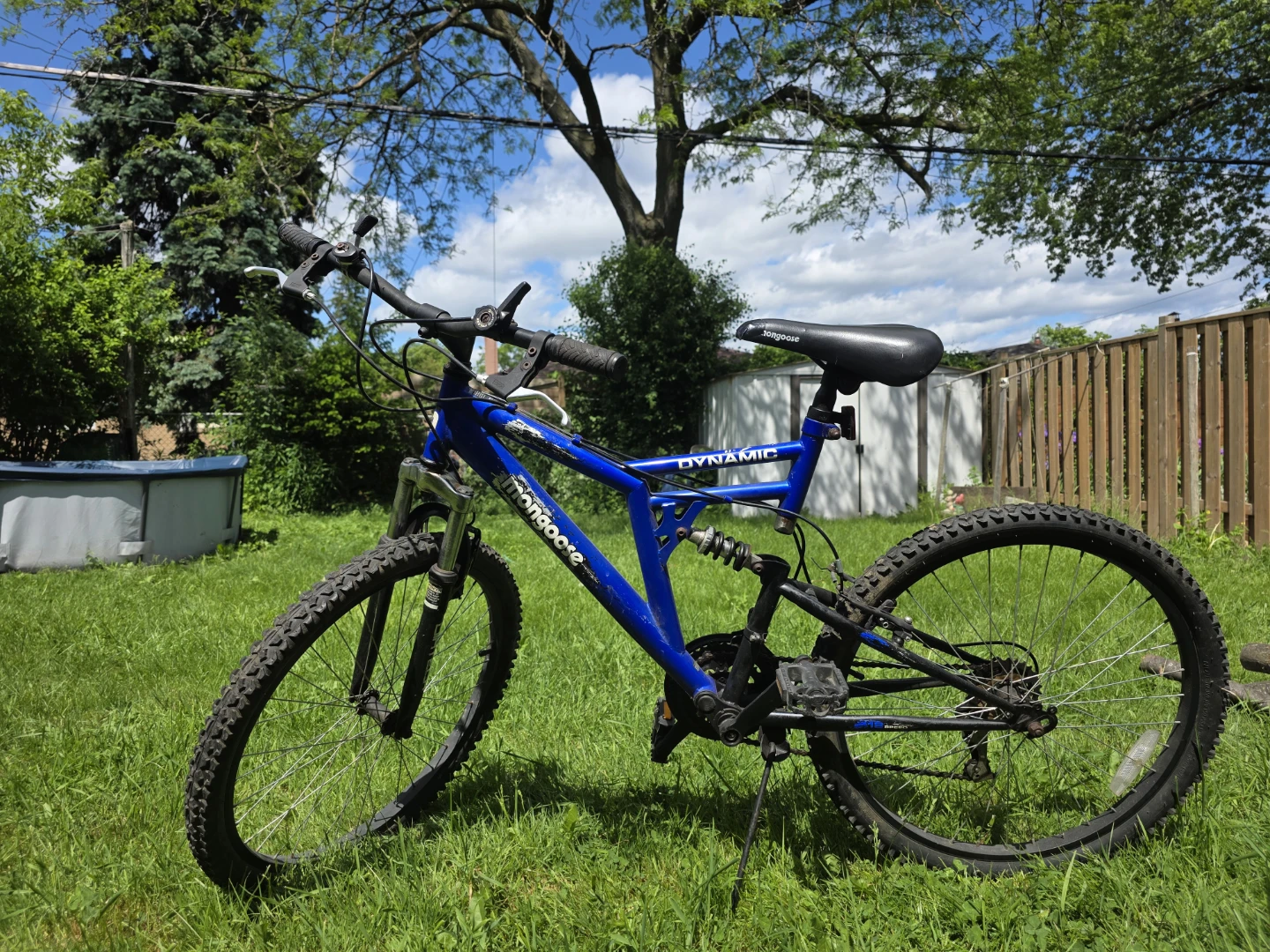 Mongoose Dynamic Mountain Bike