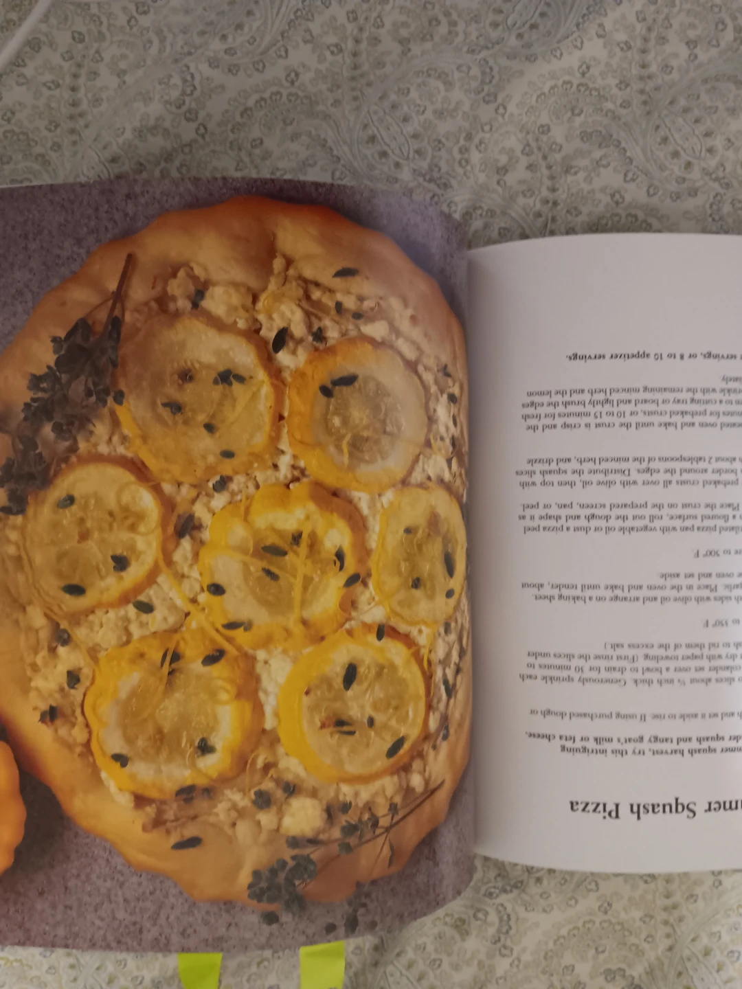 James McNair's Vegetarian Pizza Cookbook - photo 3
