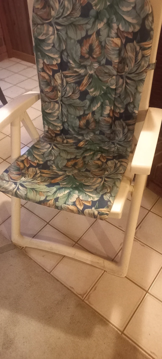 Outdoor Patio Chair with Floral Cushion