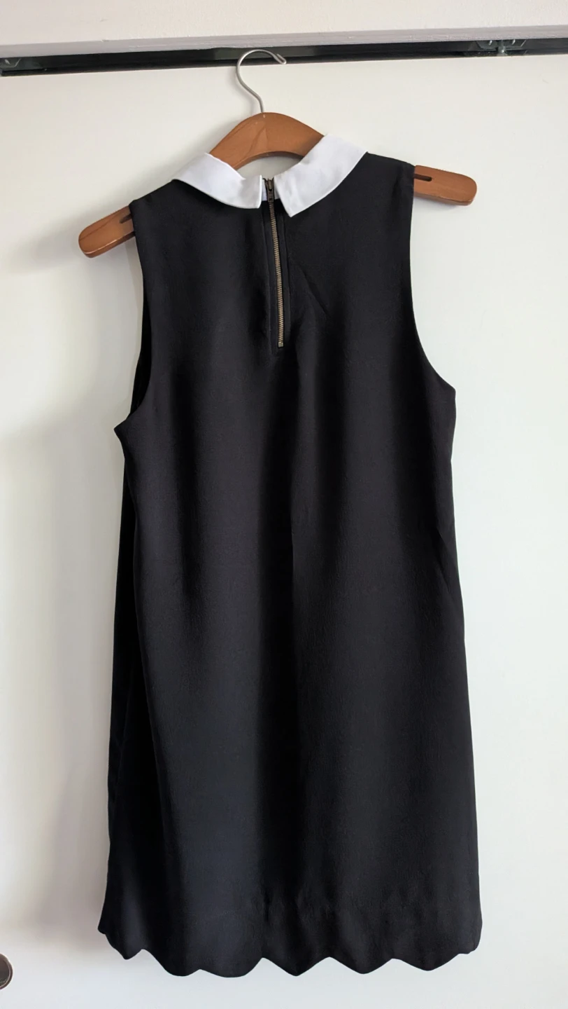 Small Black & White Collar sleeveless dress - photo 3