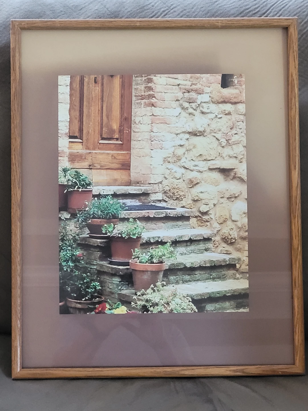 Framed Wall Art Print - Potted Plants and Stone Steps