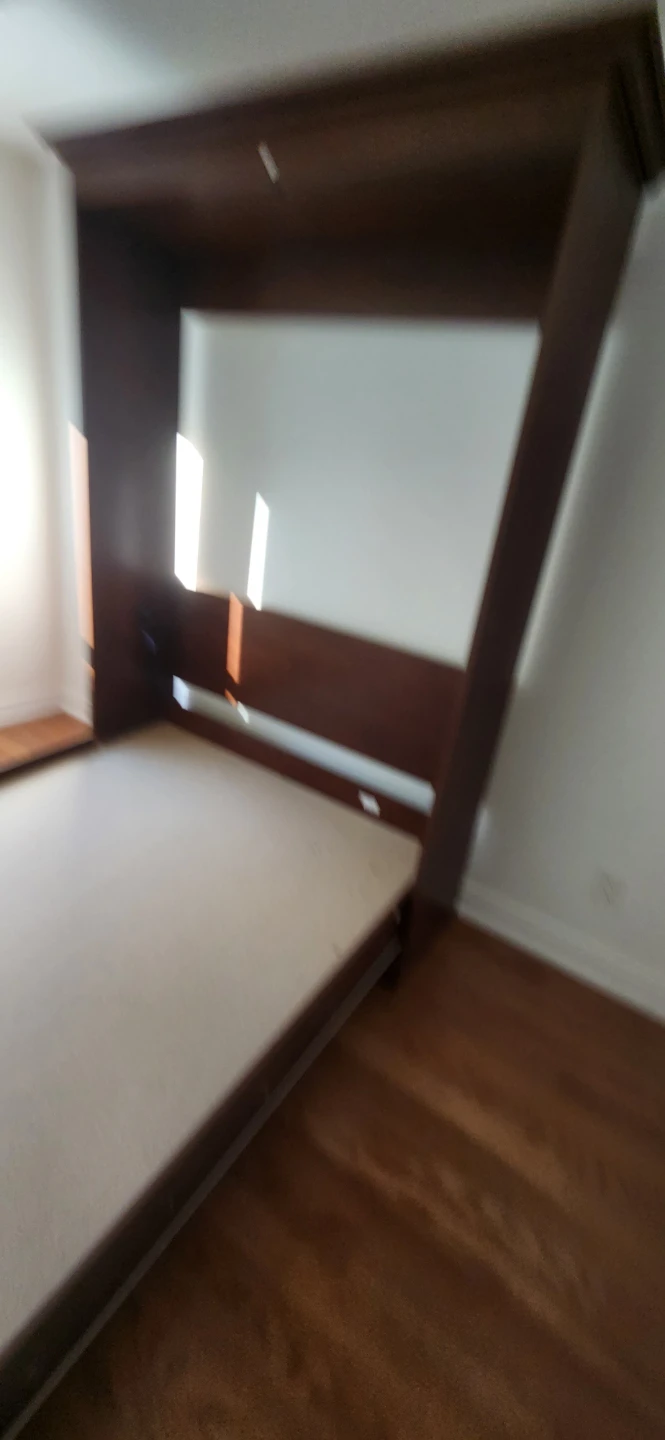 Queen size Murphy Bed with Cabinet - photo 4