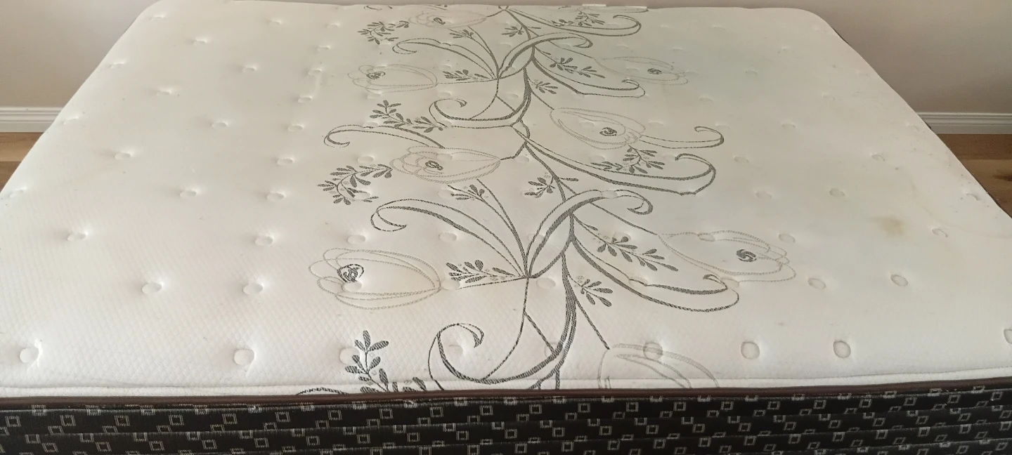 Queen size Sealy Posturepedic Mattress with Box spring - photo 4