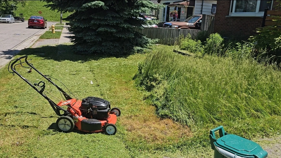 Lawn Maintenance - photo 3