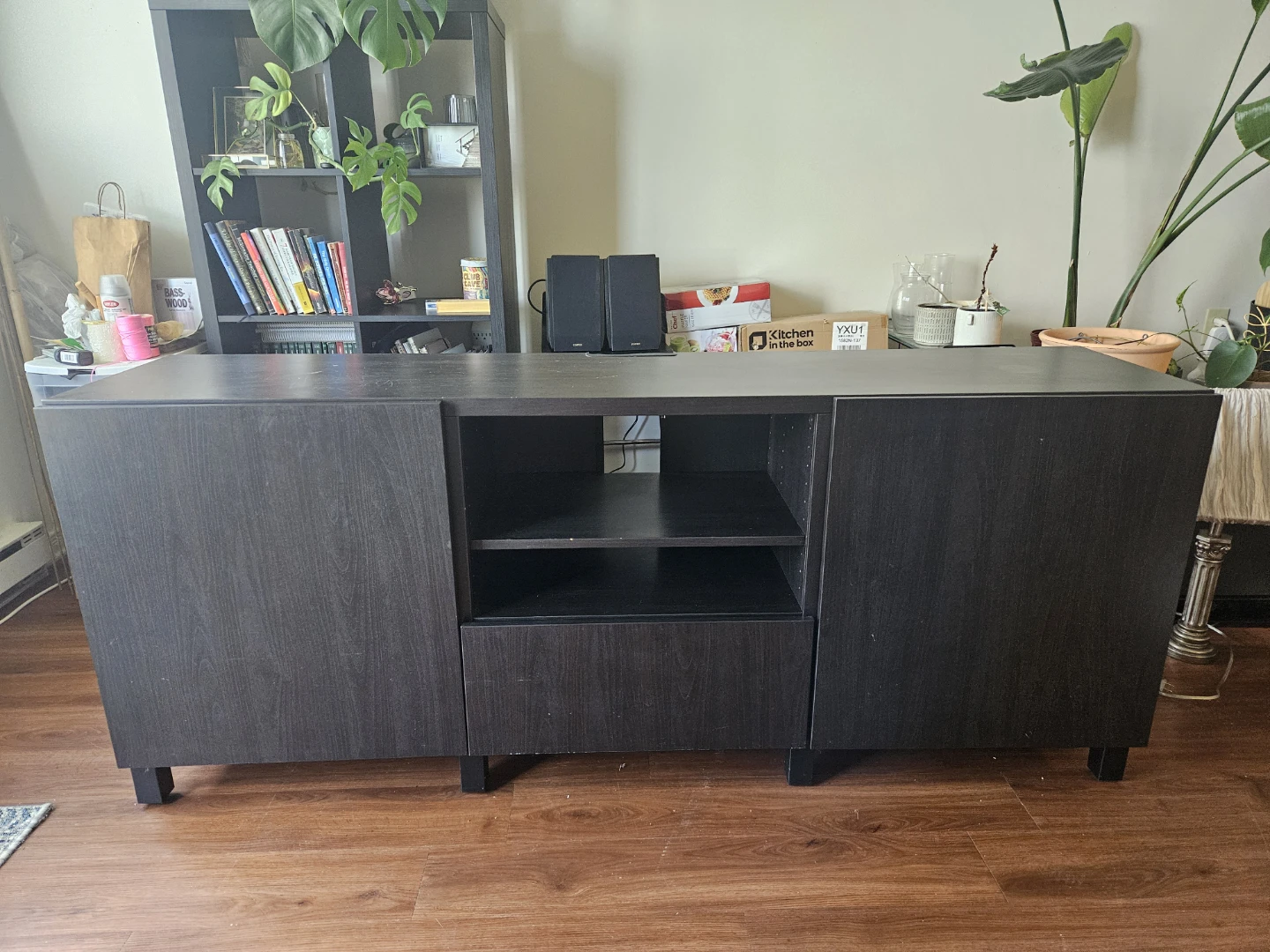 IKEA BESTÅ TV Stand with Doors
