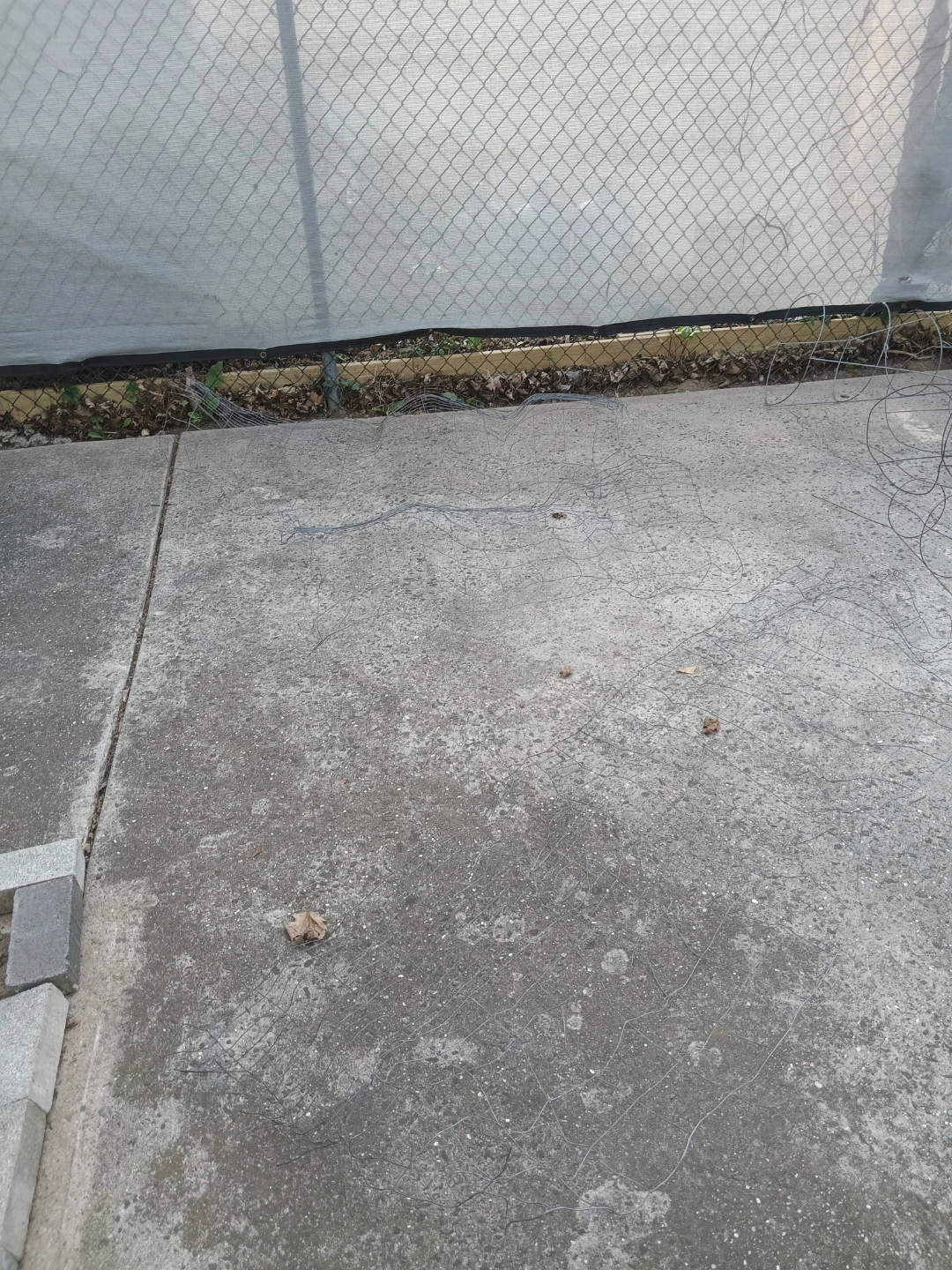 Plant holders and wire fencing - photo 2
