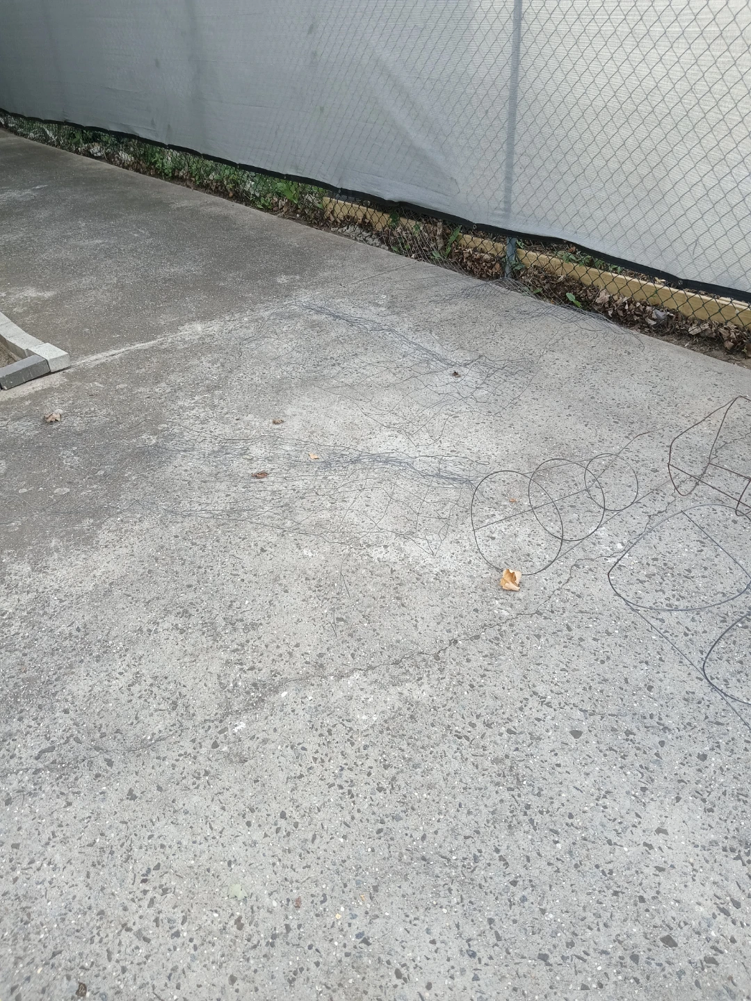 Plant holders and wire fencing - photo 4