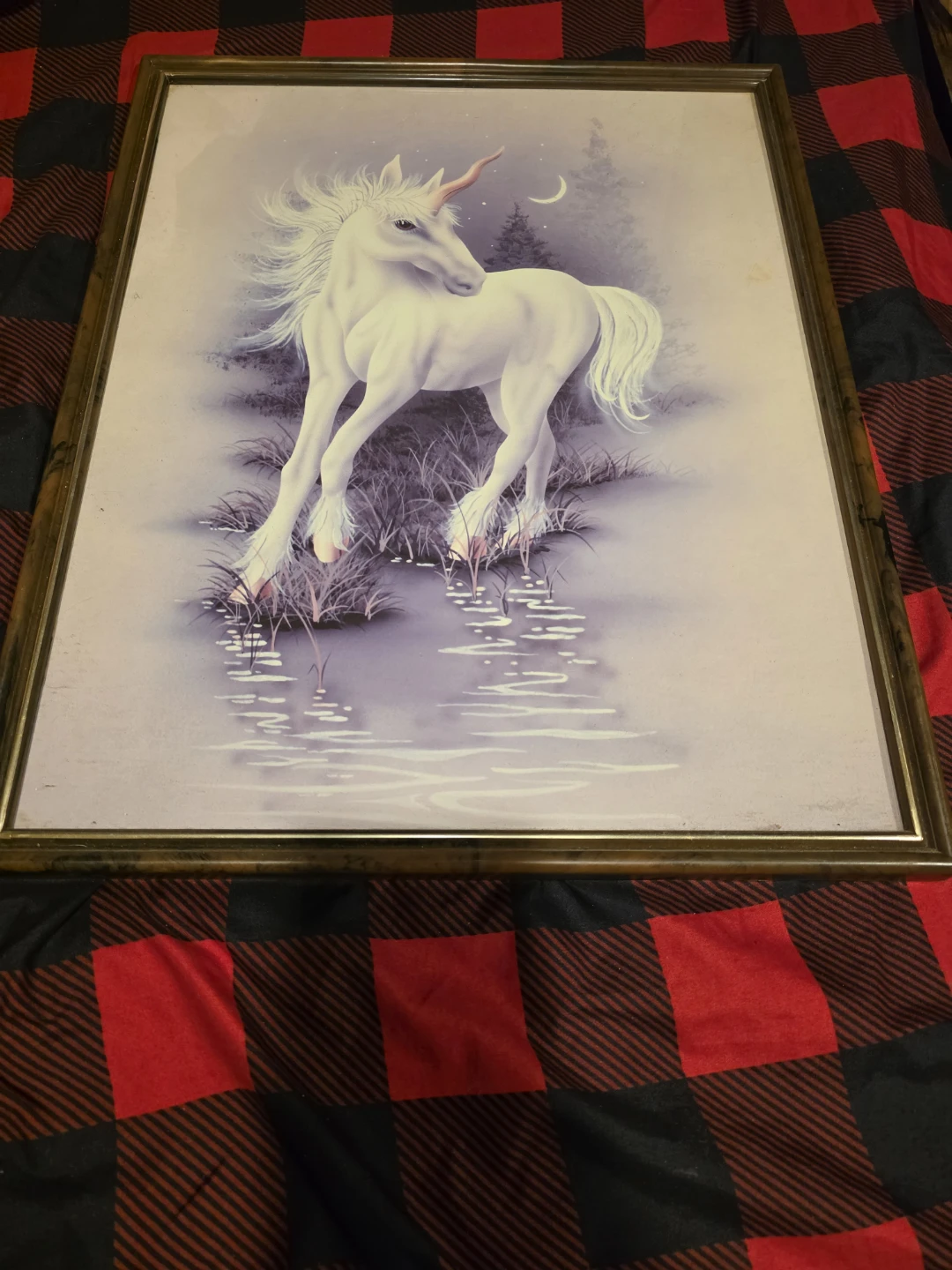 Framed Unicorn Art Print