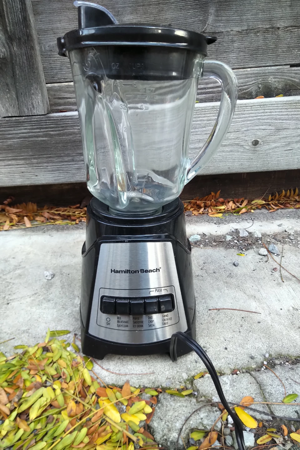 Hamilton Beach Blender