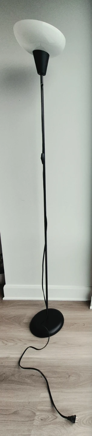 Black Floor Lamp - photo 4