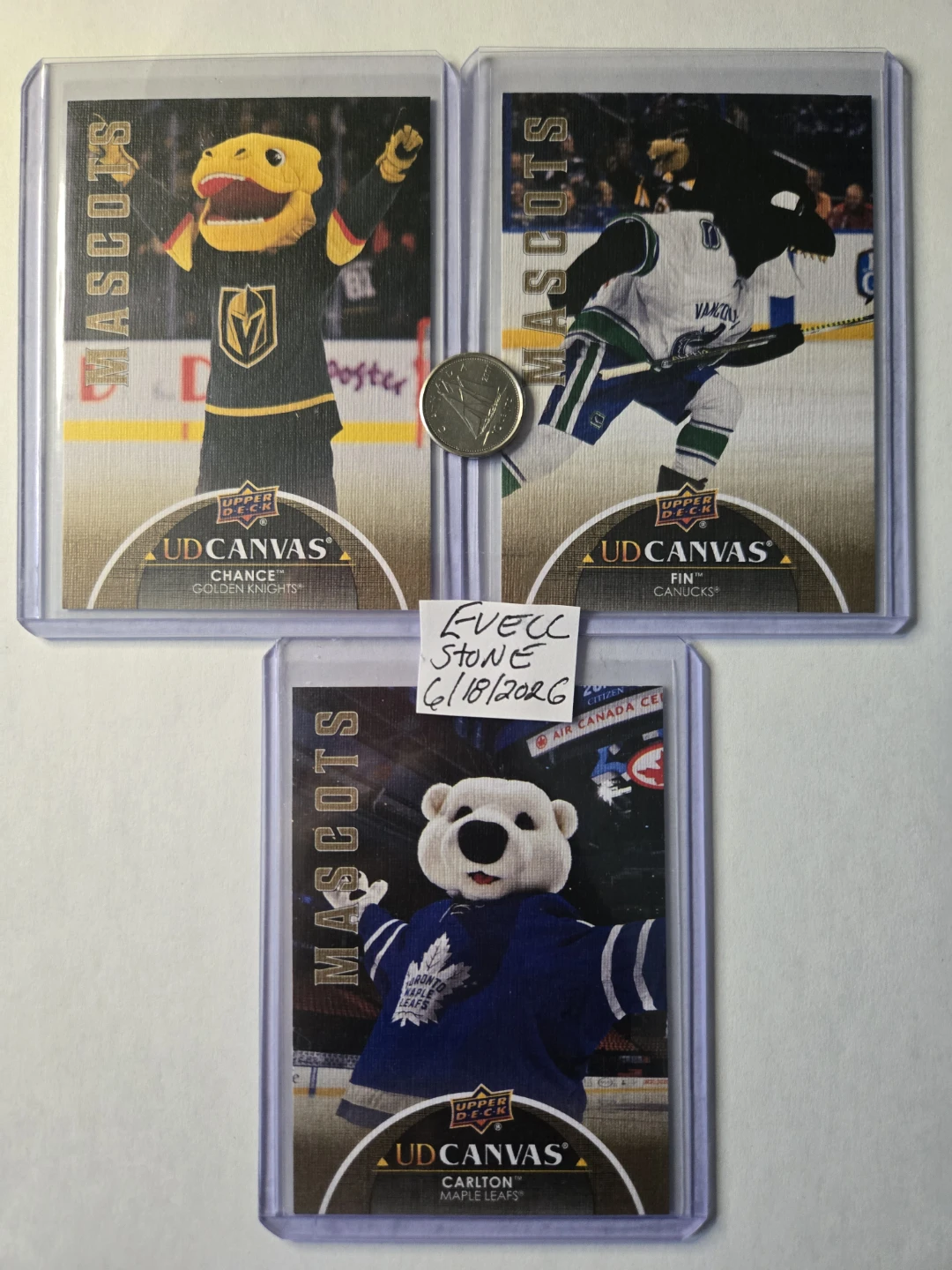 2021-22 CANVAS MASCOTS - photo 4