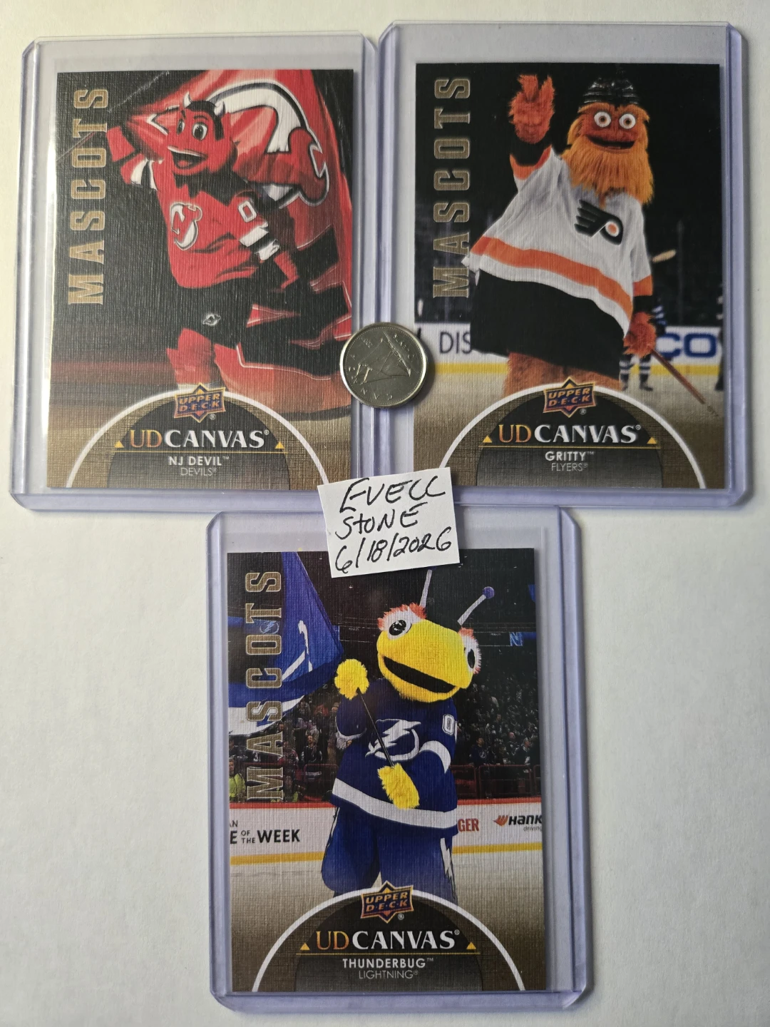 2021-22 CANVAS MASCOTS - photo 5