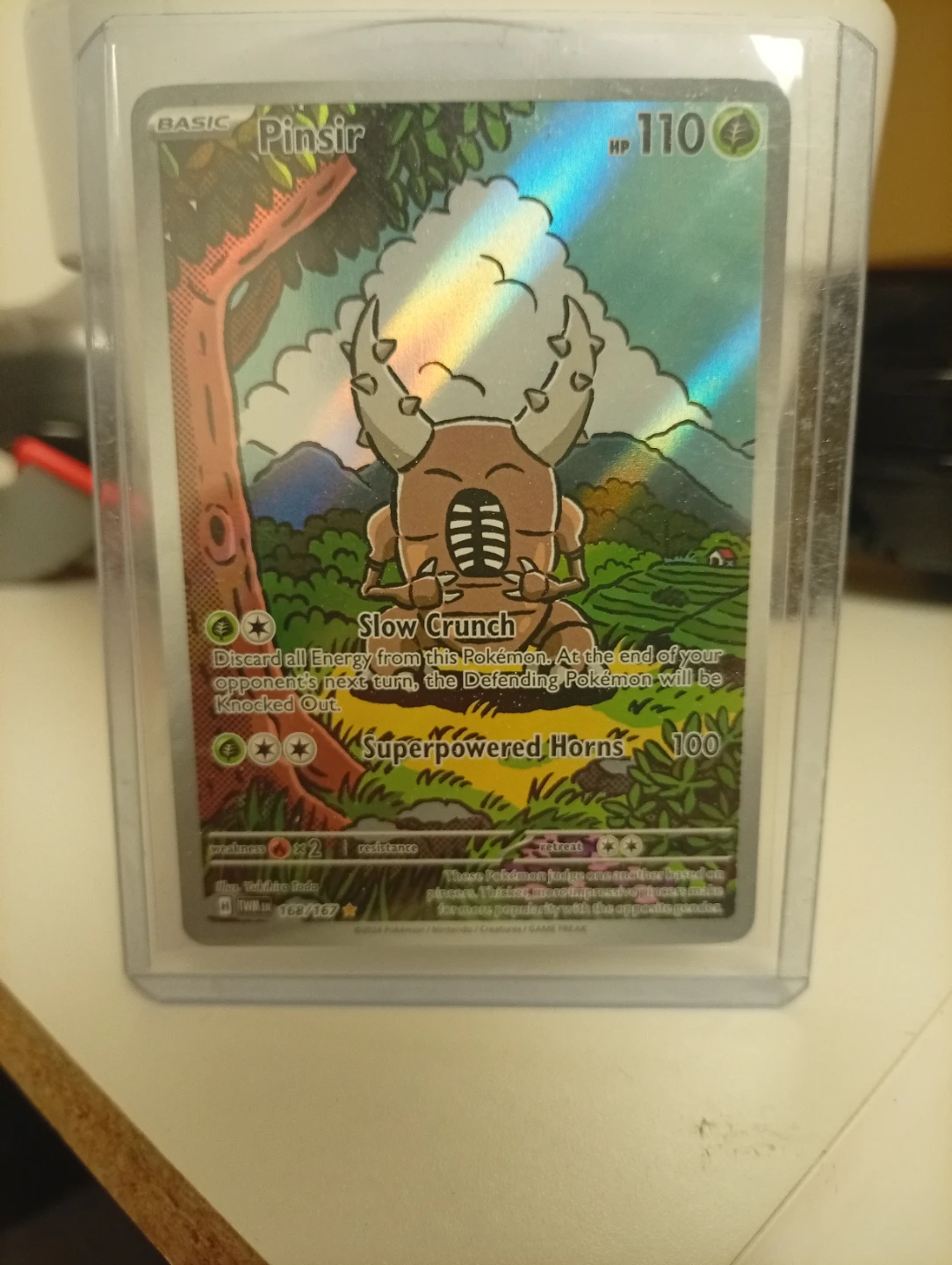 Pokémon Trading Cards Lot