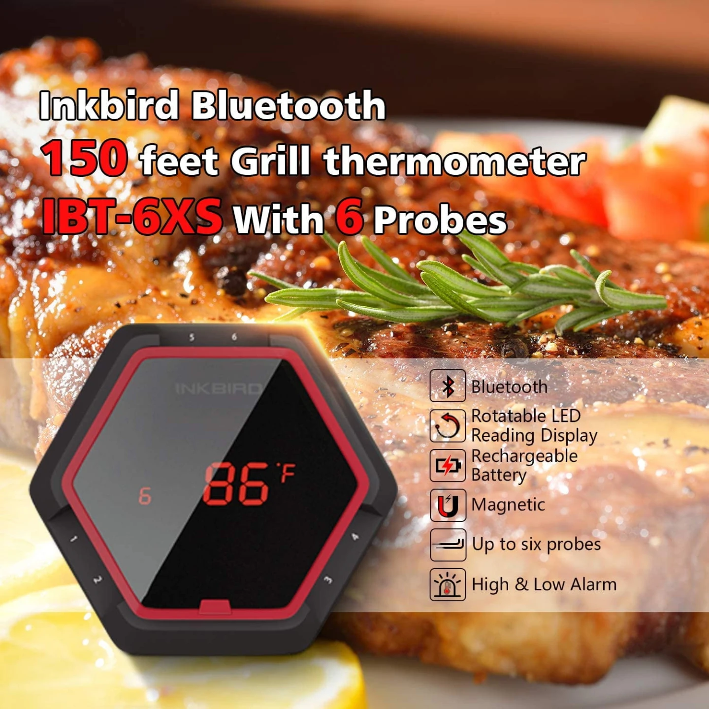 Inkbird IBT-6XS 6-Probes Smart App Cooking Thermometer - photo 3