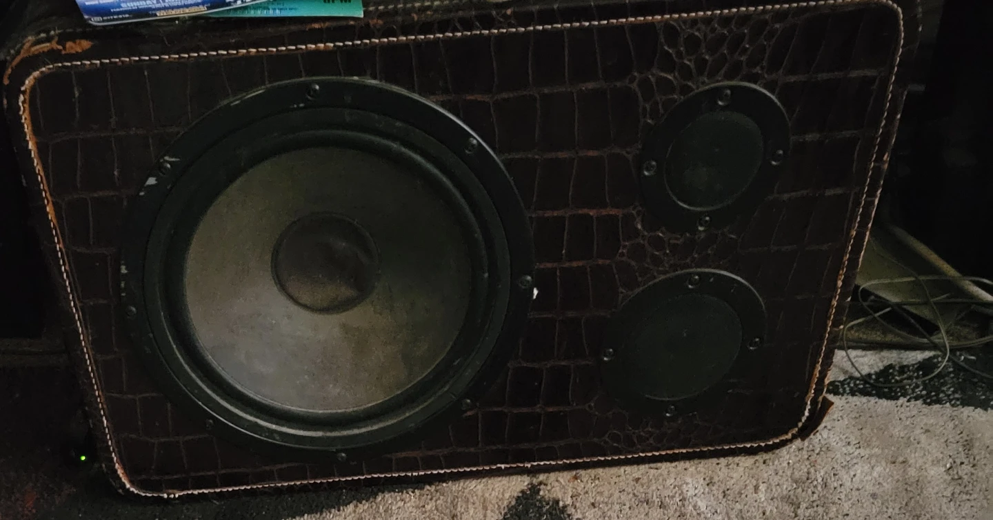 Vintage Speaker