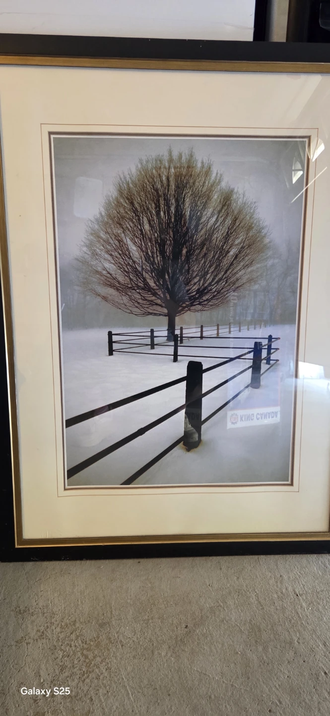 Framed Winter Tree Art Print - photo 3
