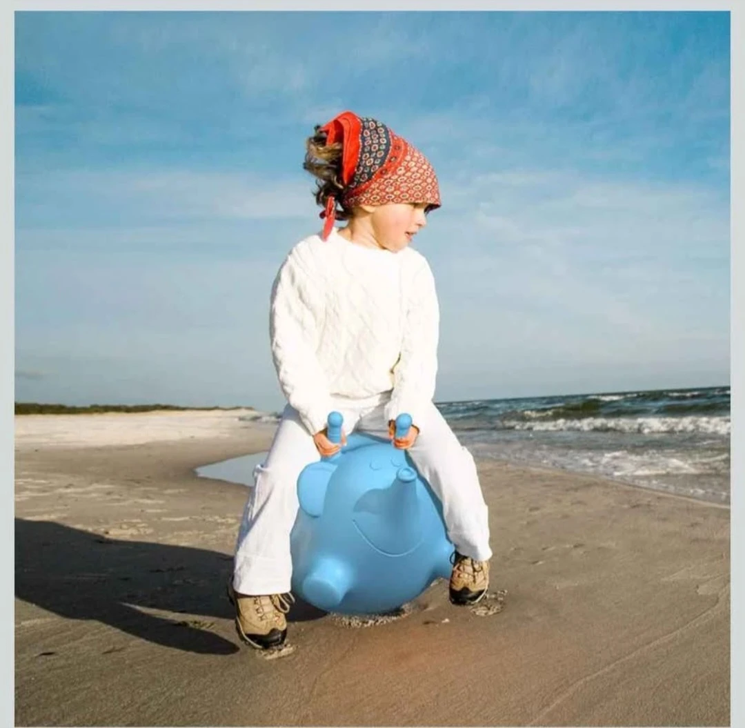 ROBUD Bouncy pig 🐖 Hopper, Bouncy Animals Toy ... - photo 2