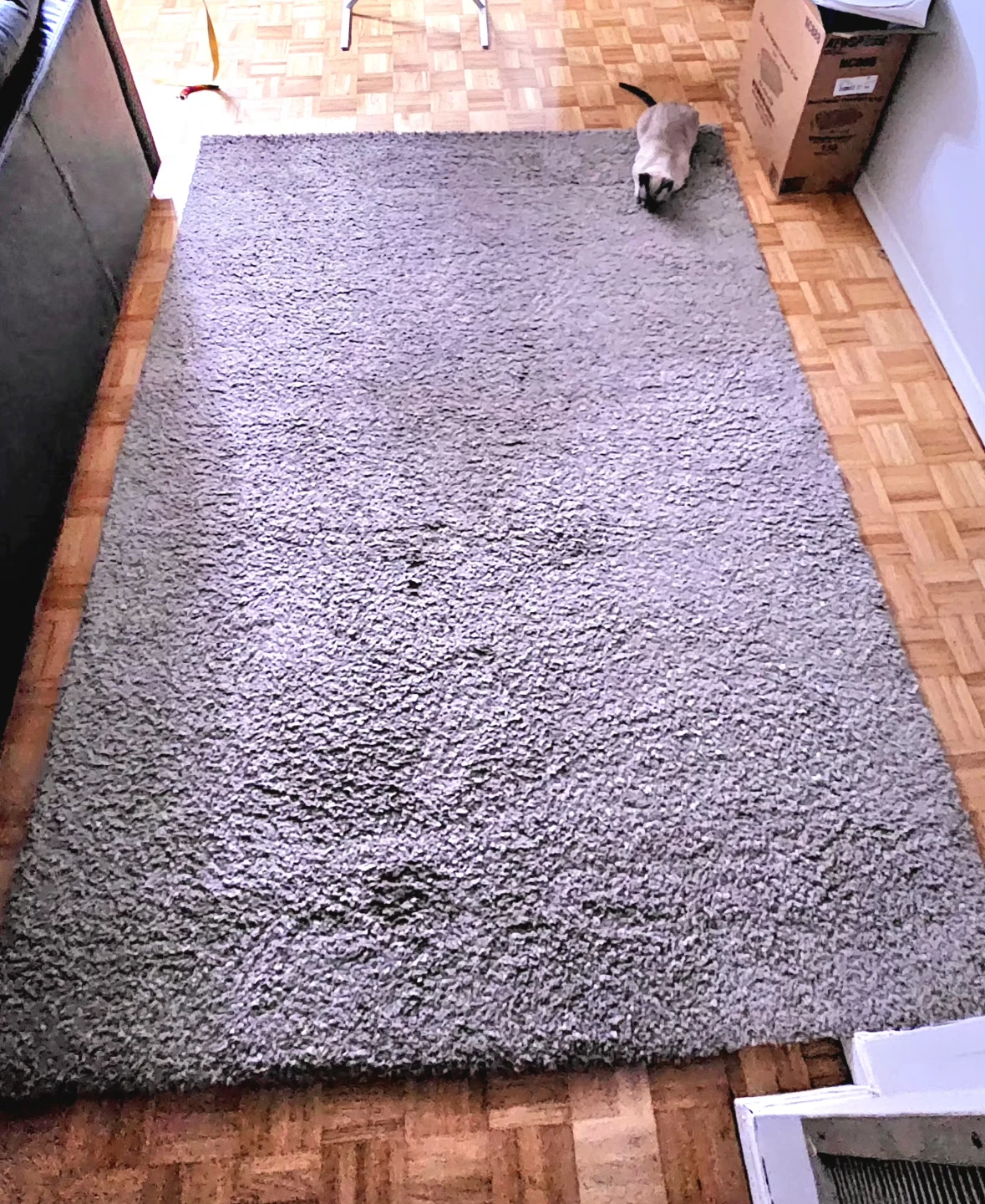 CAM Wellington Super Soft Touch Rug - photo 4