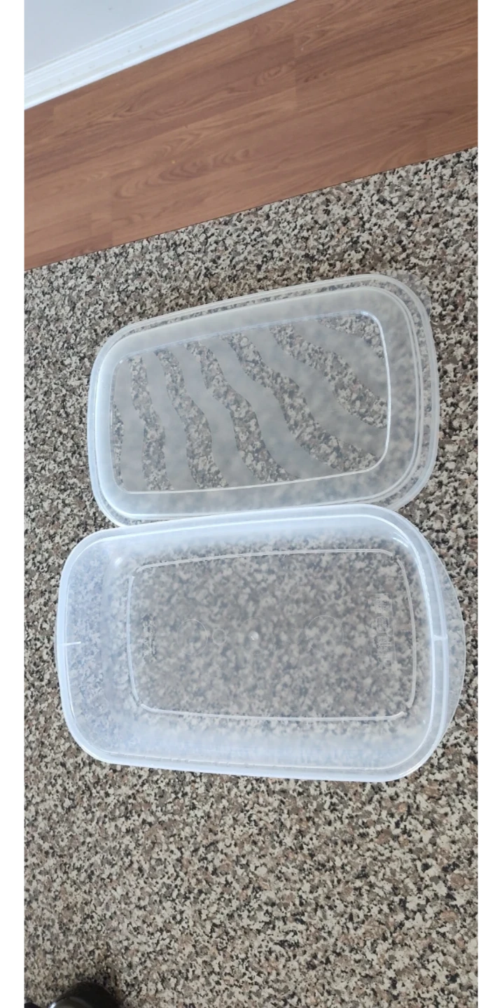 Clear Plastic Food Storage Container with Lid - photo 3