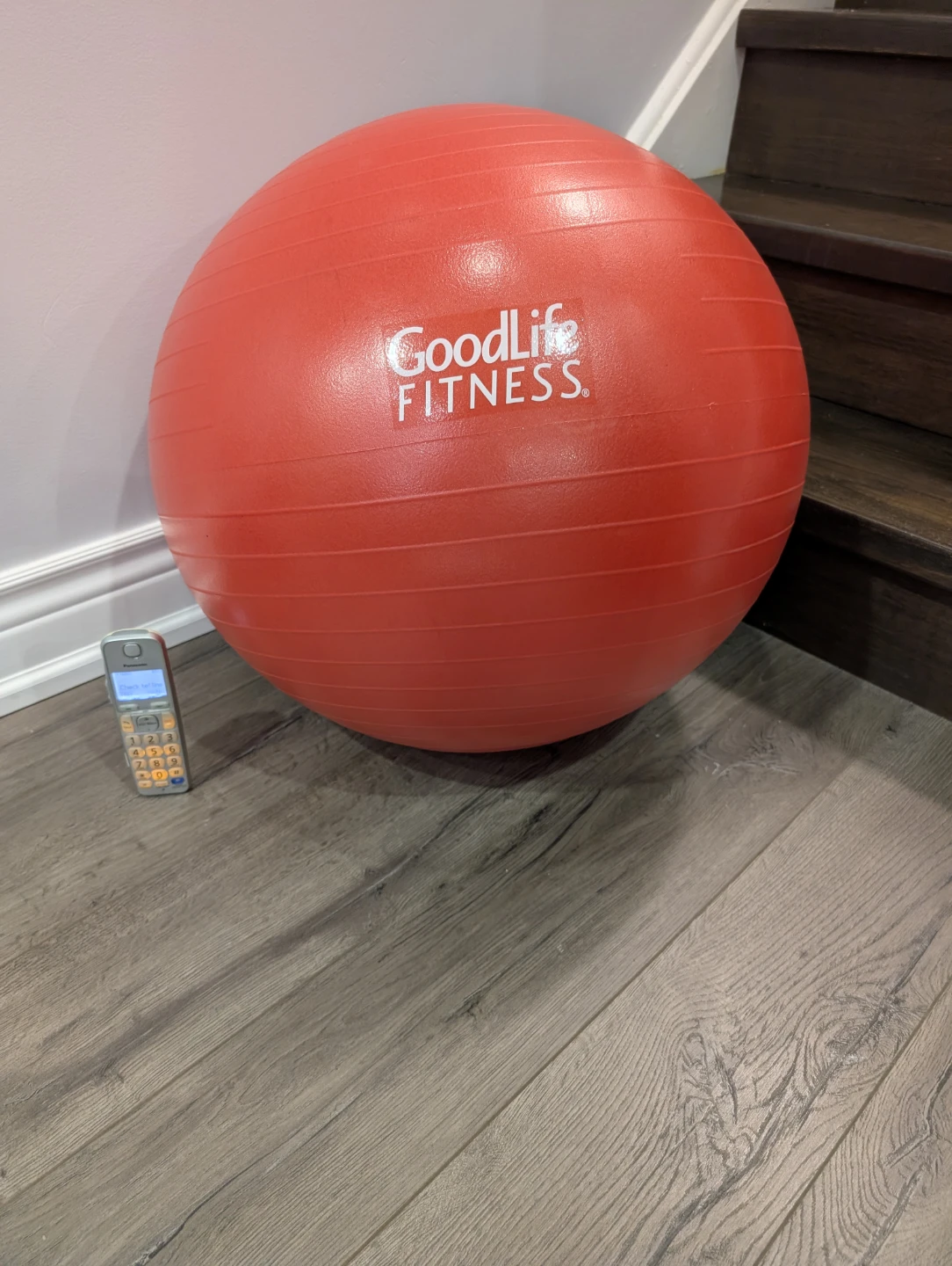 GUC - GoodLife Fitness Exercise Ball