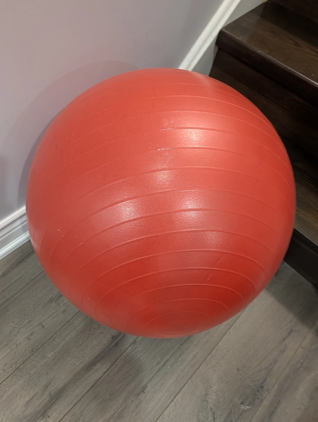 GUC - GoodLife Fitness Exercise Ball - photo 3