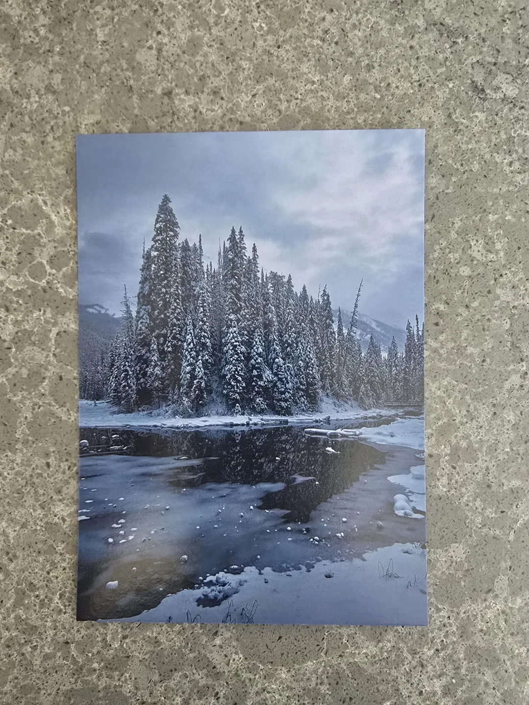 Emerald Lake Yoho National Park Postcard 5x7