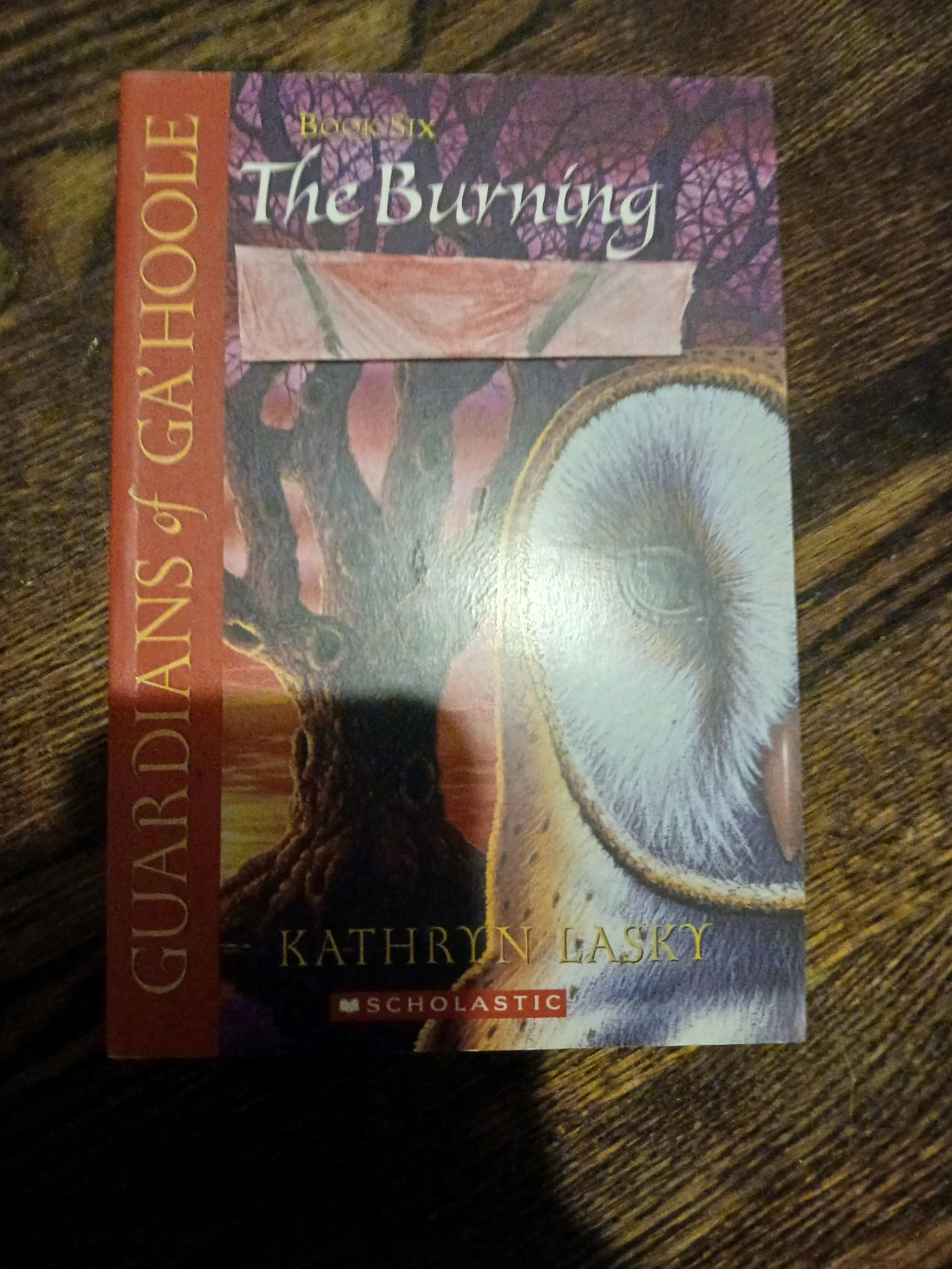 An amazing book bundle