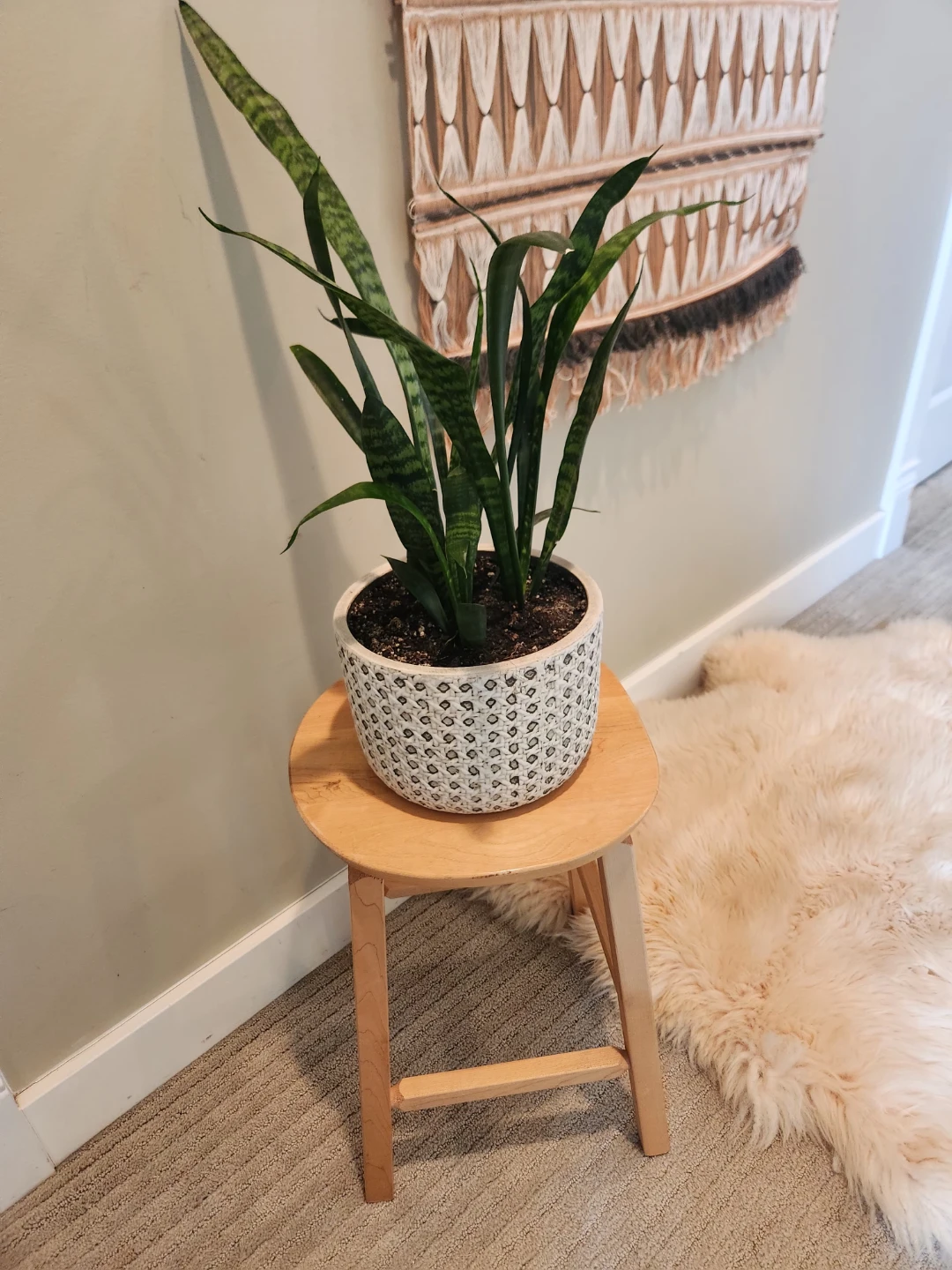 Like NEW vintage danish solid wood Plant stand or side table