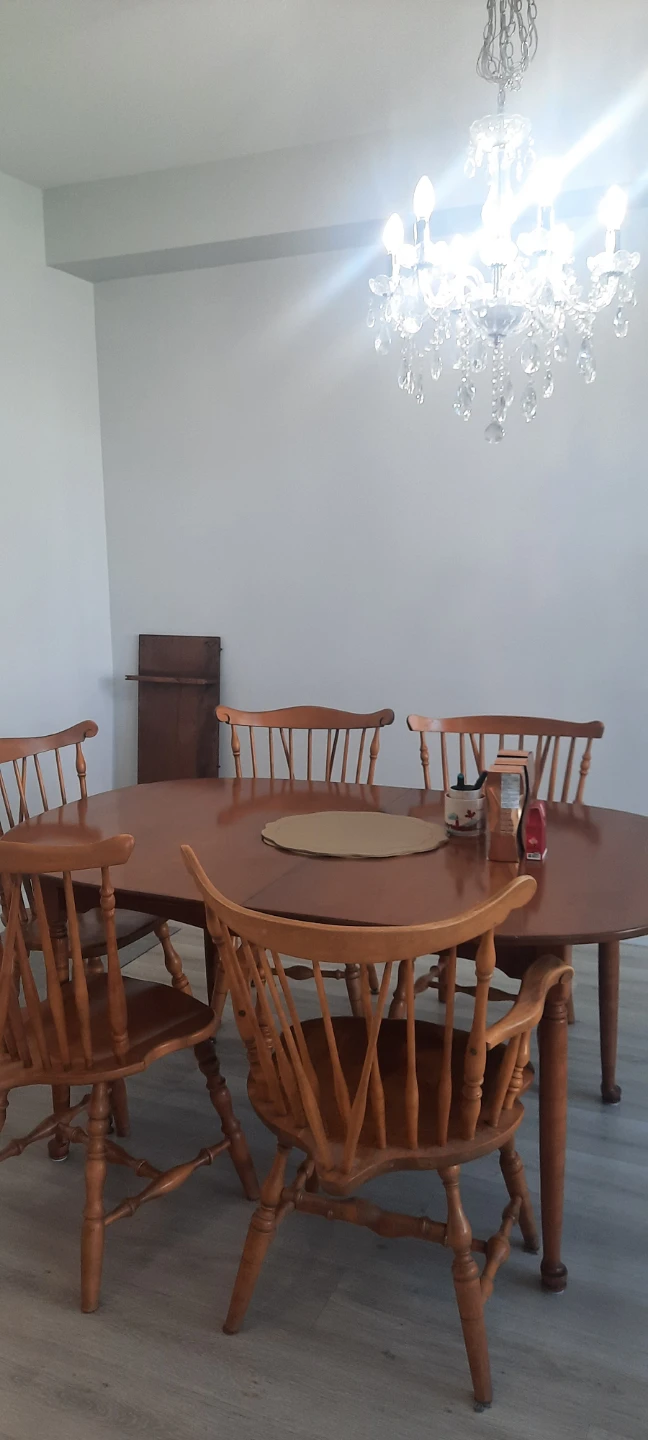 Wooden Dining Table Set with 6 Chairs