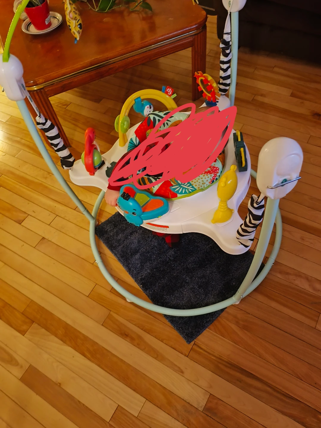 Fisher-Price Jumperoo