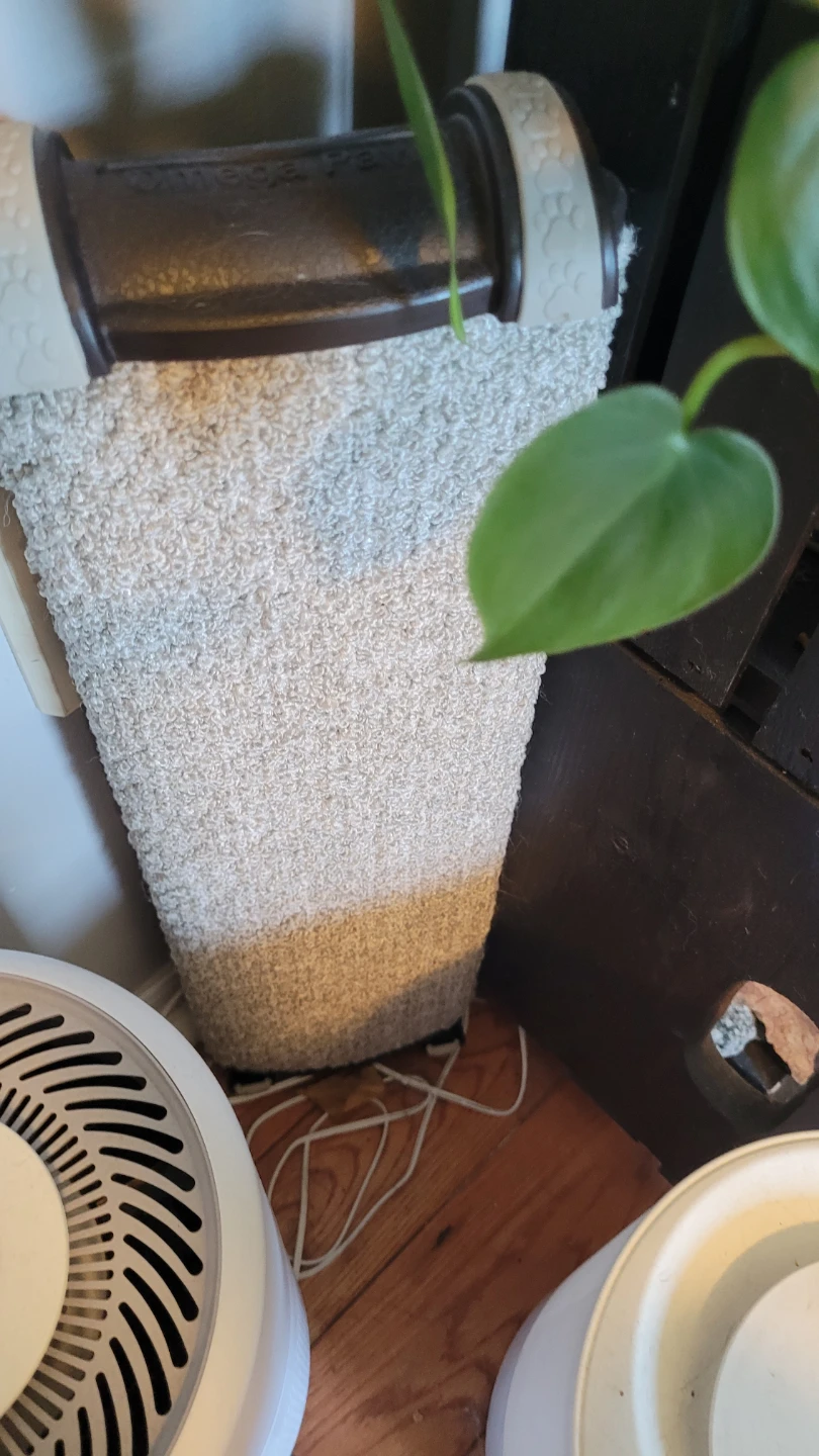 Cat scratching post