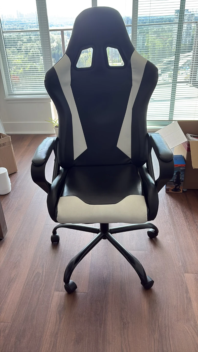 Black and White Gaming Chair