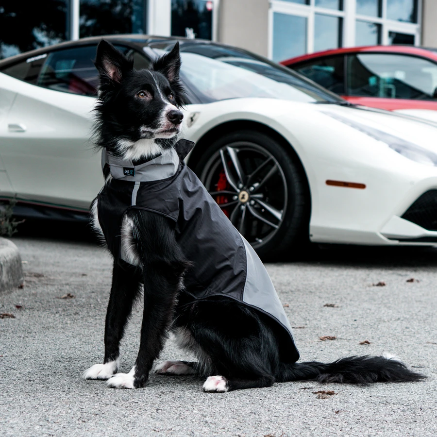 Dog Jacket - Size 24 - photo 3