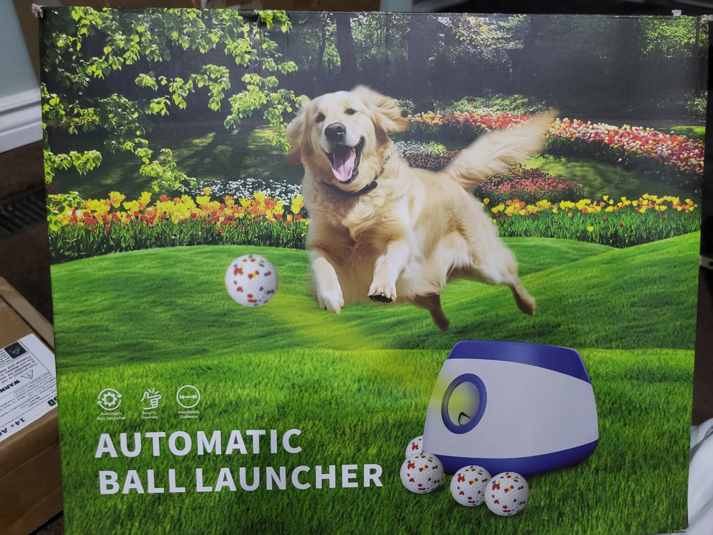 Automatic Dog Ball Launcher