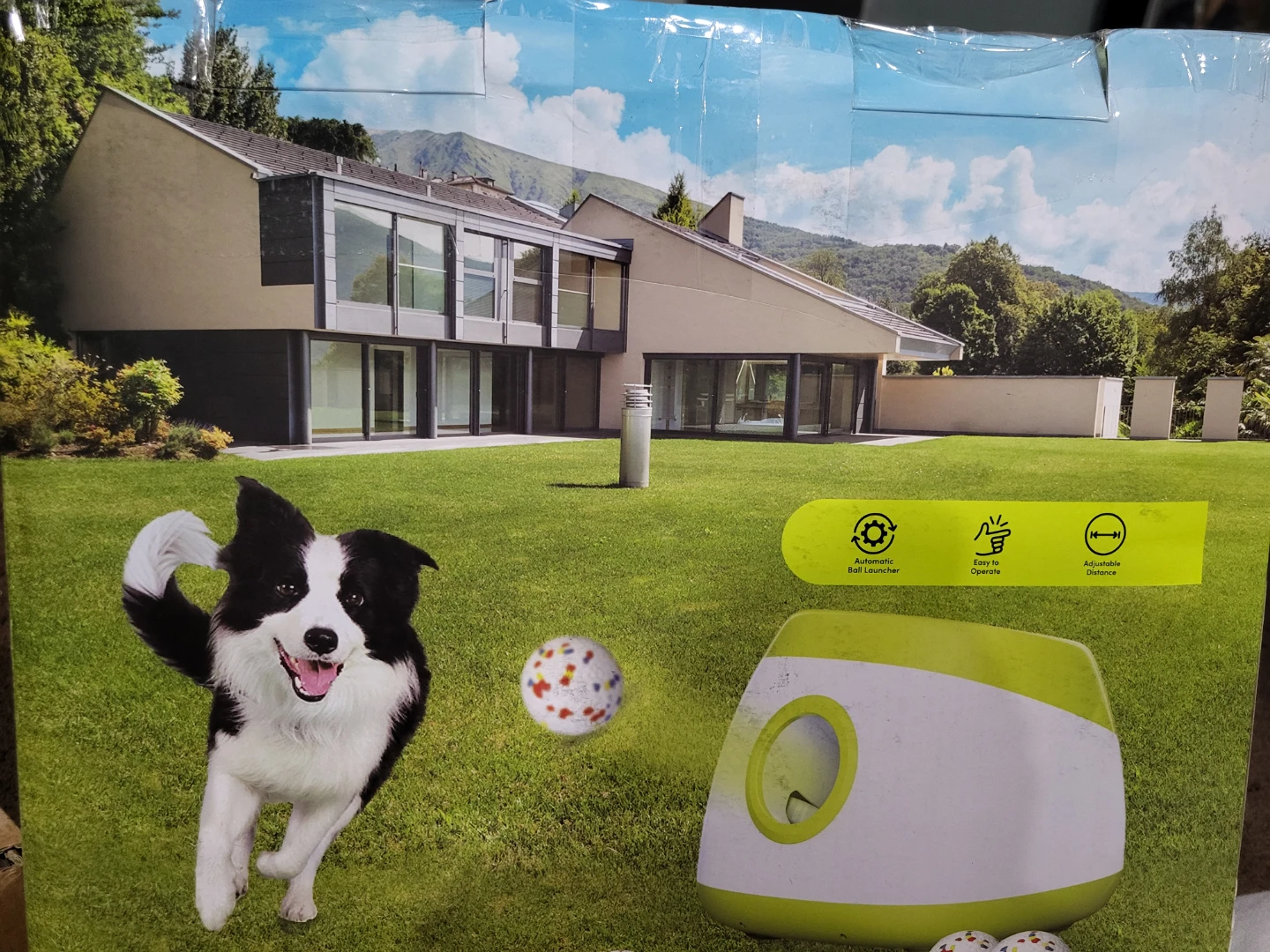 Automatic Dog Ball Launcher - photo 2