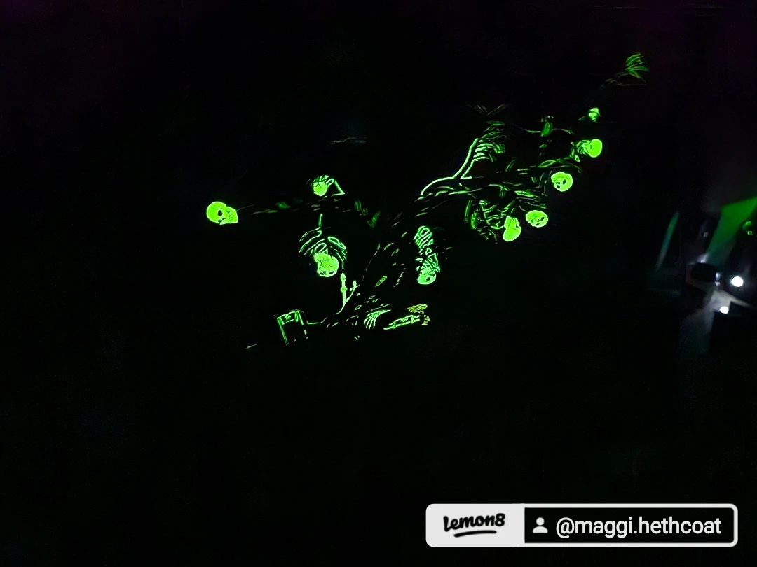 Glow in the Dark Framed Artwork - photo 3