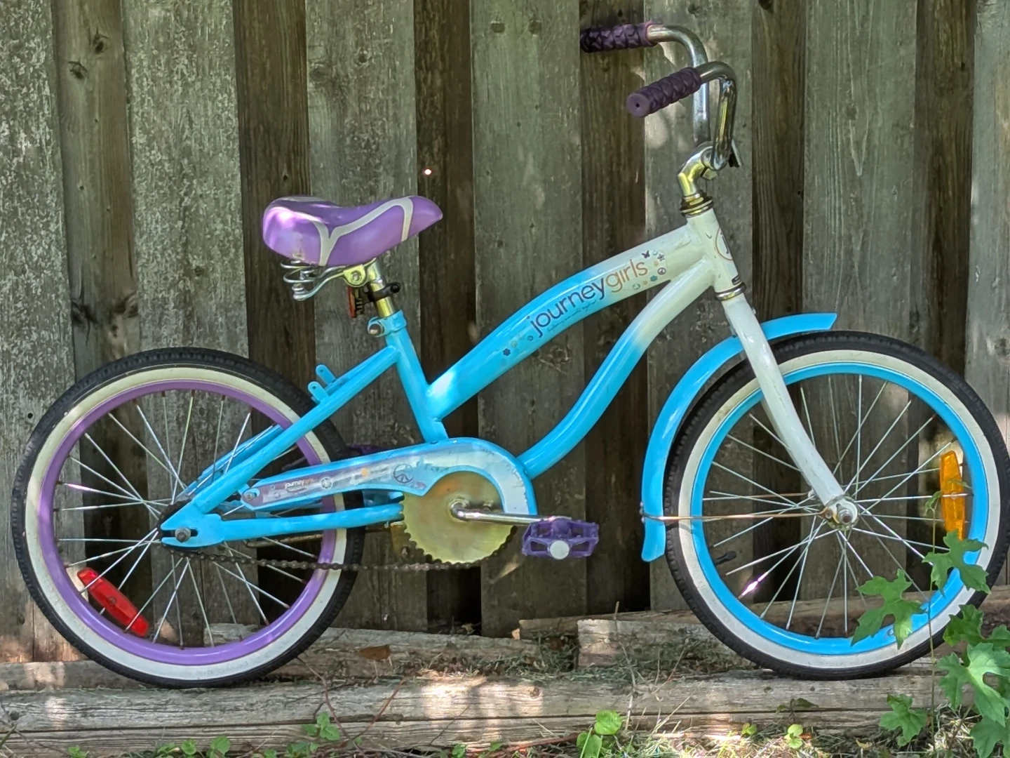 girls single speed cruiser (ages 6-14)