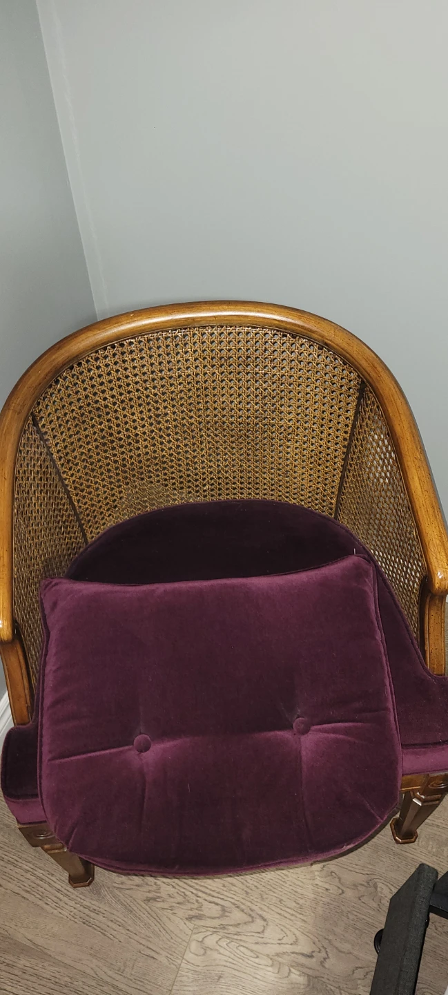 Velvet Accent Chair with Cane Back - photo 4