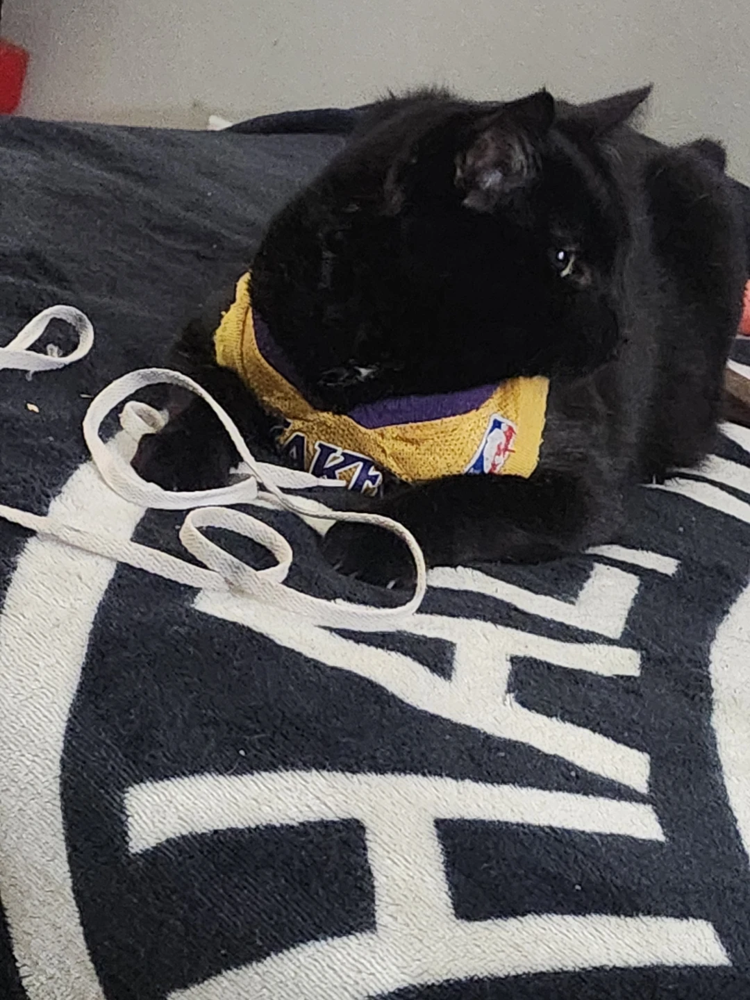 Los Angeles Lakers Pet Jersey